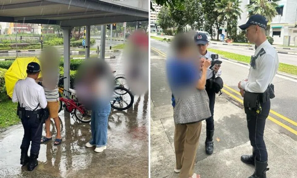 70-year-old pedestrian among 24 people who got summons for ignoring red light at crossings in 5 days