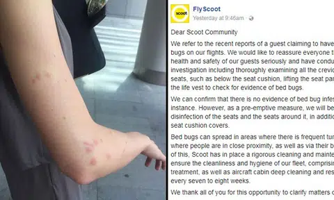 Scoot says no bed bugs found after investigation but will carry out disinfection as precaution