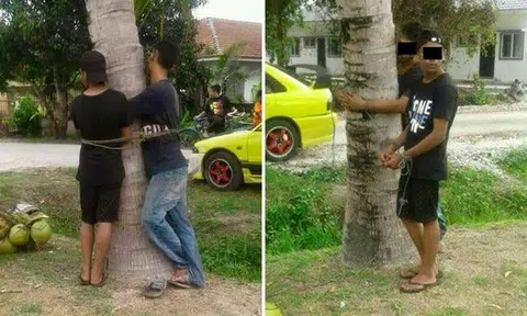 LOL! Malaysian villagers punish coconut thieves by tying them to tree