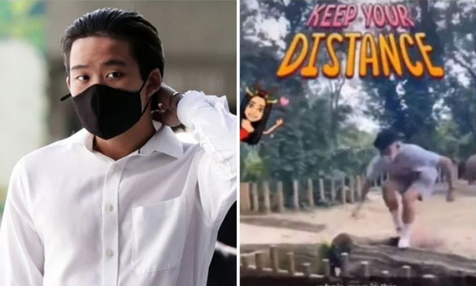 Ralph Wee Yi Kai trespassed into the white rhinoceros enclosure on Dec 17 last year. PHOTOS: KELVIN CHNG, SCREENGRAB FROM YOUTUBE