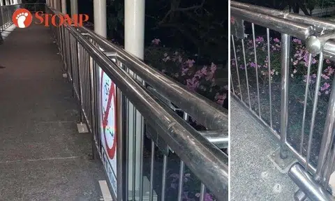 Stomper Alan believes the second handrail is for the handicapped and elderly – except it is at the wrong height.