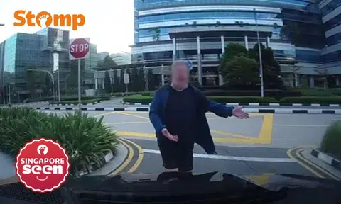 pedestrian argues with driver over right of way at harbourfront avenue