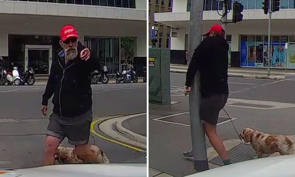 You will laugh at instant karma served to pedestrian after he yells at driver for no reason