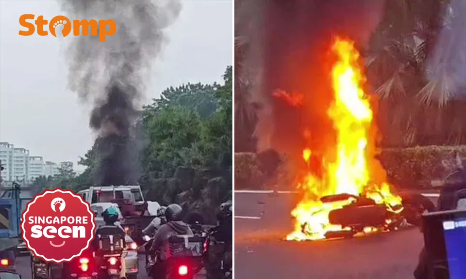 Nine taken to hospital after multi-vehicle TPE accident
