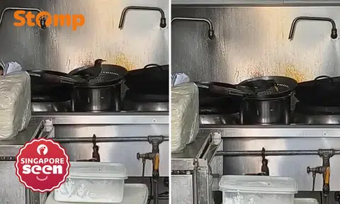 birds visit zi char stall at Chai Chee