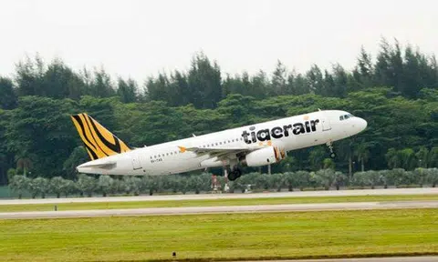 Tigerair flight from Hong Kong to S'pore turns back after bird flys right into plane's windscreen and cracks it