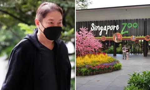 Ex-zoo facilities director jailed, ordered to pay $2.4 million penalty for taking bribes from multiple contractors