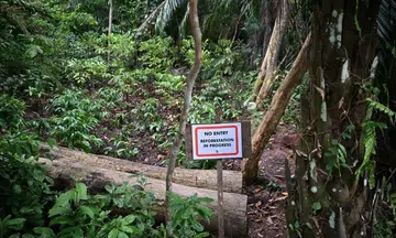 A sign on July 1 indicating that reforestation is ongoing at the Lower Peirce Reservoir Park site where the unauthorised clearing took place.