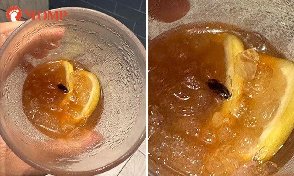 Man finds cockroach floating in almost-finished drink from Hanis, SFA investigating