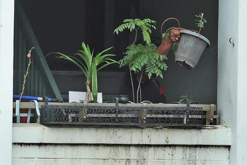 Workers shifting flower pots from outside the wall to a safer location.