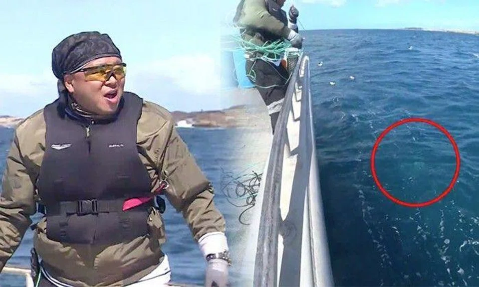 Celebrity spots giant dark shadow in the water and is shocked by what it is