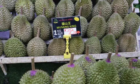 Durian sales surge in Singapore after Musang King prices plunge up north