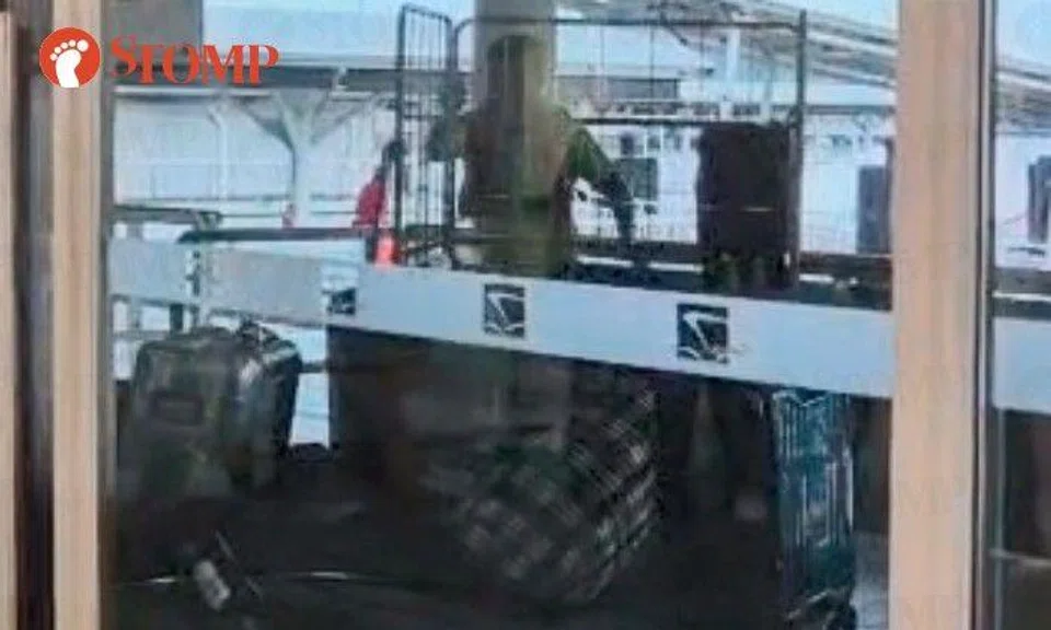 S'pore Cruise Centre worker who threw passengers' luggage fired, behaviour 'unacceptable': Stomper