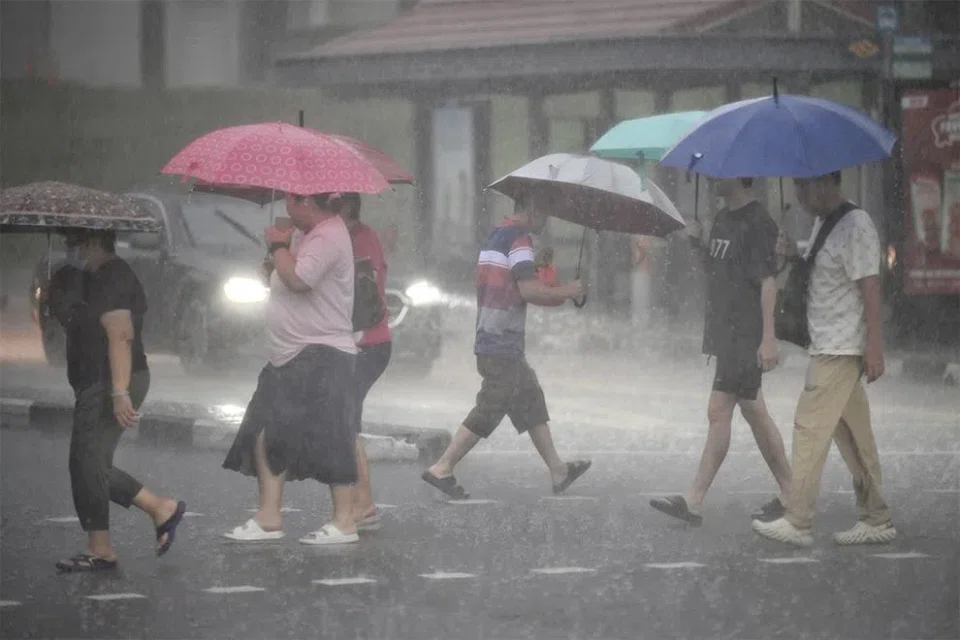 Raining cats and dogs for the remainder of February. 