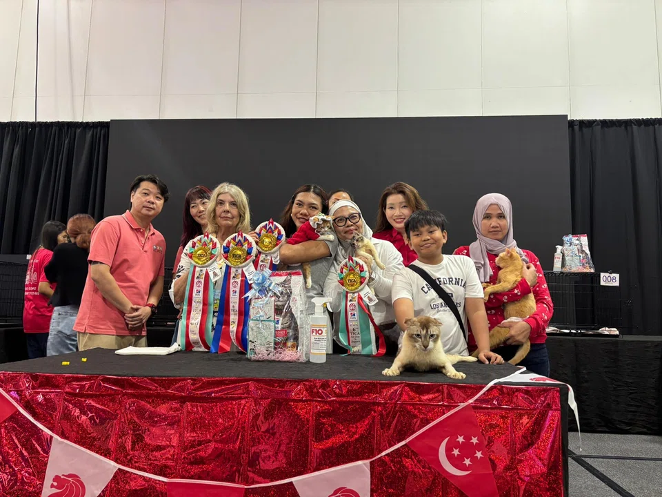 Ms Julie Chong (fourth from right) and her cats Yoona, Awal and Mika at The International Cat Association Cat Show.