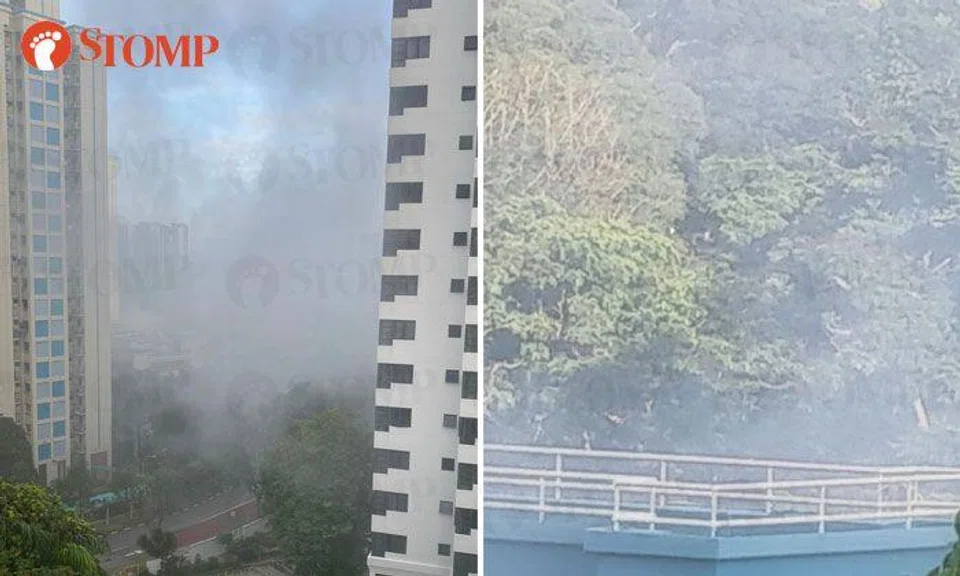 Fire breaks out at Tiong Bahru coffee shop