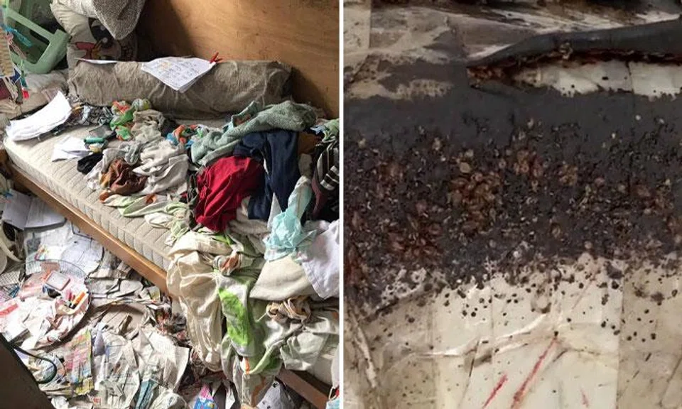 The flat was filthy, with traces of faeces and maggots.