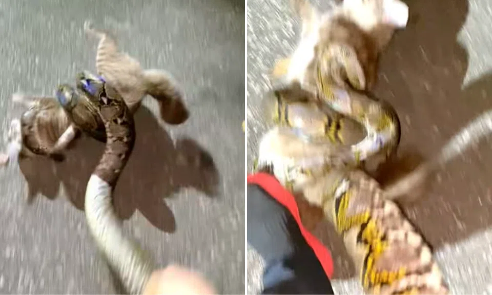 "I swung them through the air," the OP wrote.