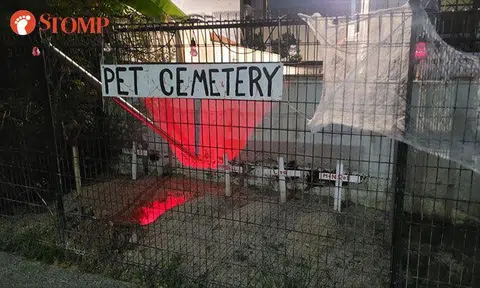 Katong resident sets up creepy 'pet cemetery' in backyard, Stomper not amused