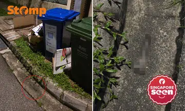 Sex toy in Simei