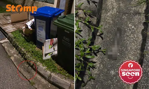 Sex toy in Simei