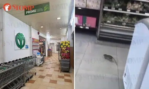 Rats join shopper on 5am grocery run at Yishun supermarket