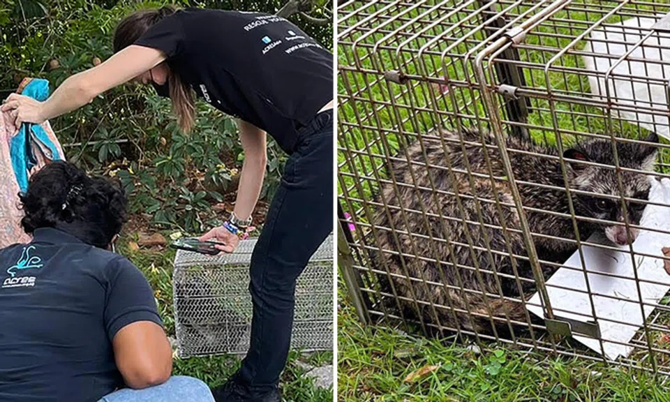 Photos: Shin Min Daily News