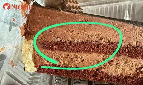 Stomper raises concerns over food safety after finding mould on cakes from Hanis