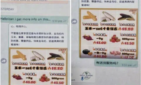 Upon clicking on the link in the ads, the victims were redirected to WhatsApp where the “sellers” would engage the victims who would be directed to download an Android Package Kit (APK) over WhatsApp or be directed to malicious links to download the APK to place orders for the food items.