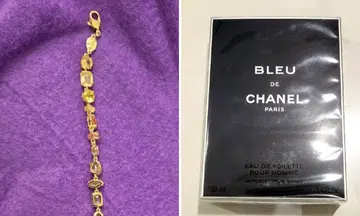 Changi Airport theft: British national arrested