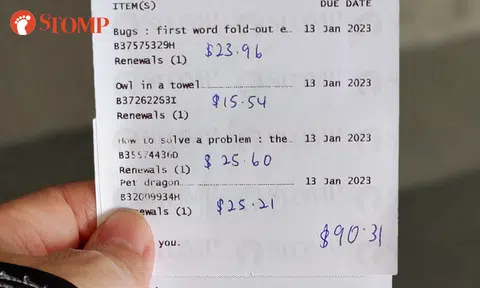 Woman looking for 20 library books lost in Bedok, might have to pay $330 in replacement fees