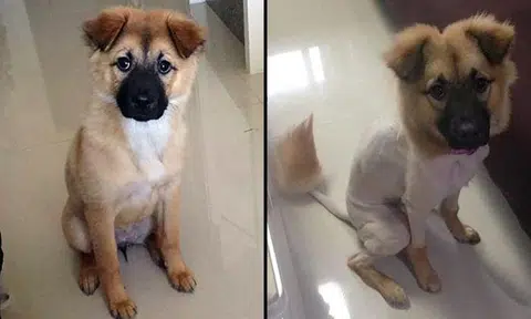 Source: World Of Buzz