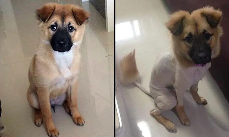 Source: World Of Buzz