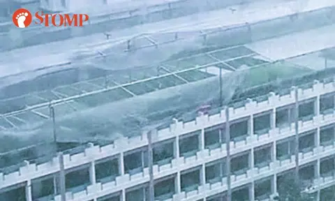 Plastic sheets blown off Sembawang rooftop vegetable farm not properly secured by contractor