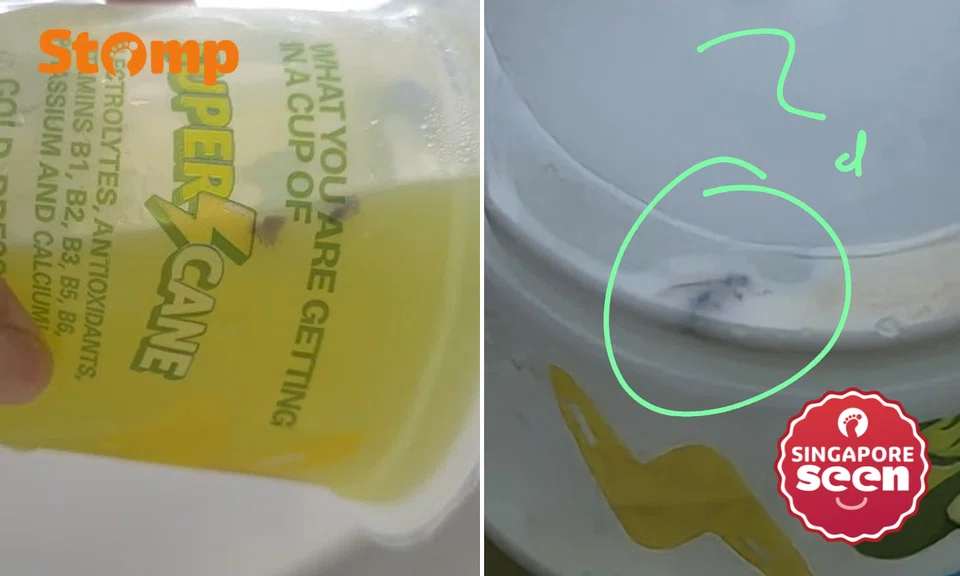 Insects in sugarcane juice: SuperCane improves procedures