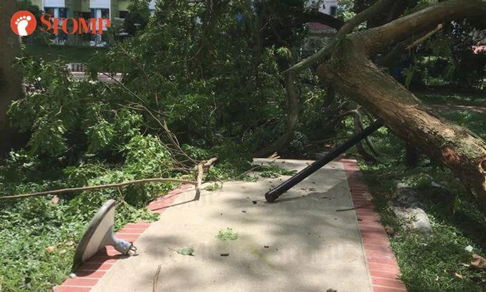 Town council working to restore area affected by fallen tree branch in Boon Lay