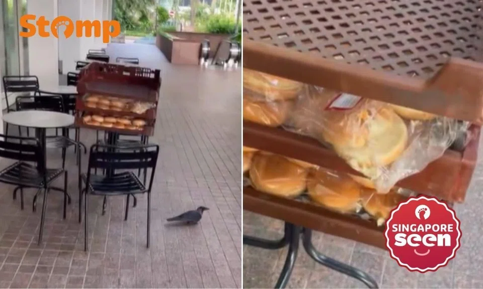 crows eating mos burger buns