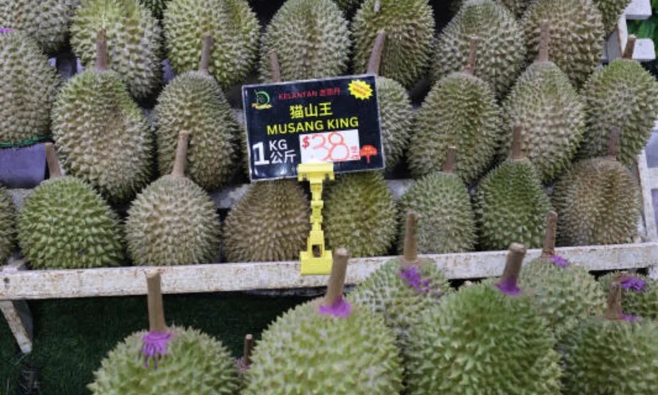 Durian sales surge in Singapore after Musang King prices plunge up north 
