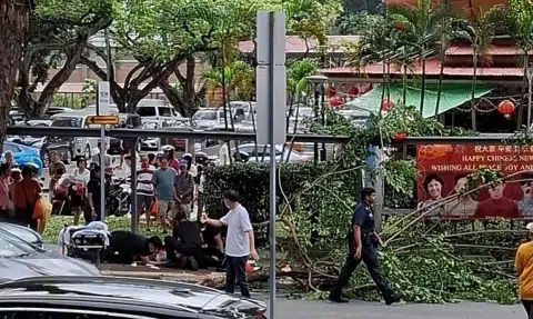 Woman taken to hospital after tree branch falls on her in Redhill
