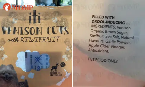 Is garlic toxic to dogs? Manufacturer responds to concerns over ingredient in pet treats