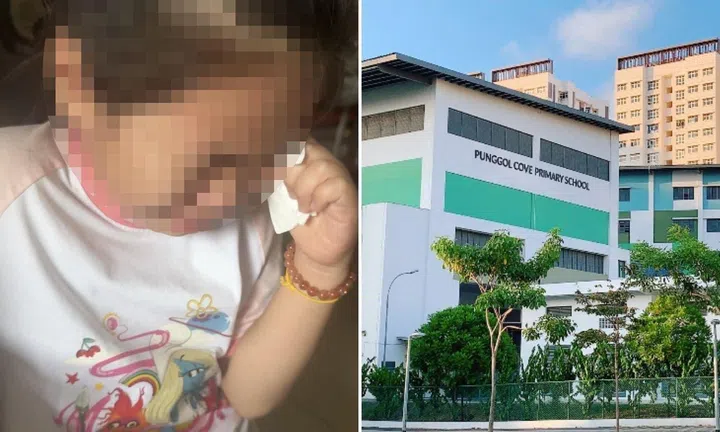 punggol cove primary school launches investigation after mother alleges daughter, 9, was molested by schoolmate