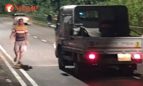 Stomper grateful to workers from passing lorry for removing fallen branches blocking Henderson Road