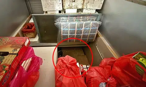 Girl, 15, who slept in Circuit Road wet market stall now in special education school learning to speak