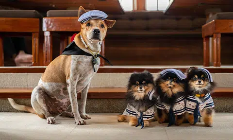 Pet owners enjoy multi-course dinner with their four-legged BFFs on world's first dog cruise