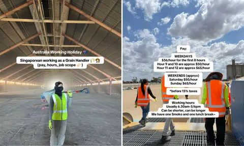 S'porean recalls snake encounters, 12-hour shifts while on working holiday in Australia: 'Not for the faint of heart'