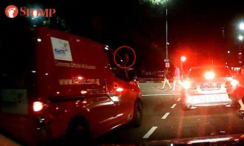 Van driver flashes middle finger at Stomper for not giving way to him along Eng Neo Avenue