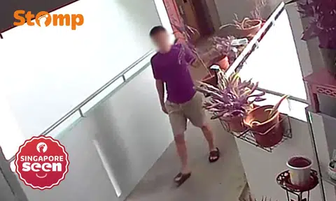 Man leaves rubbish in Woodlands resident's flower pot after collecting parcel from collection point