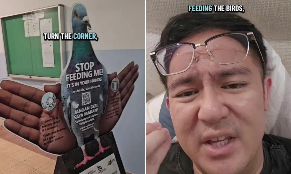 anti-bird-feeding standee draws startled reactions from netizens