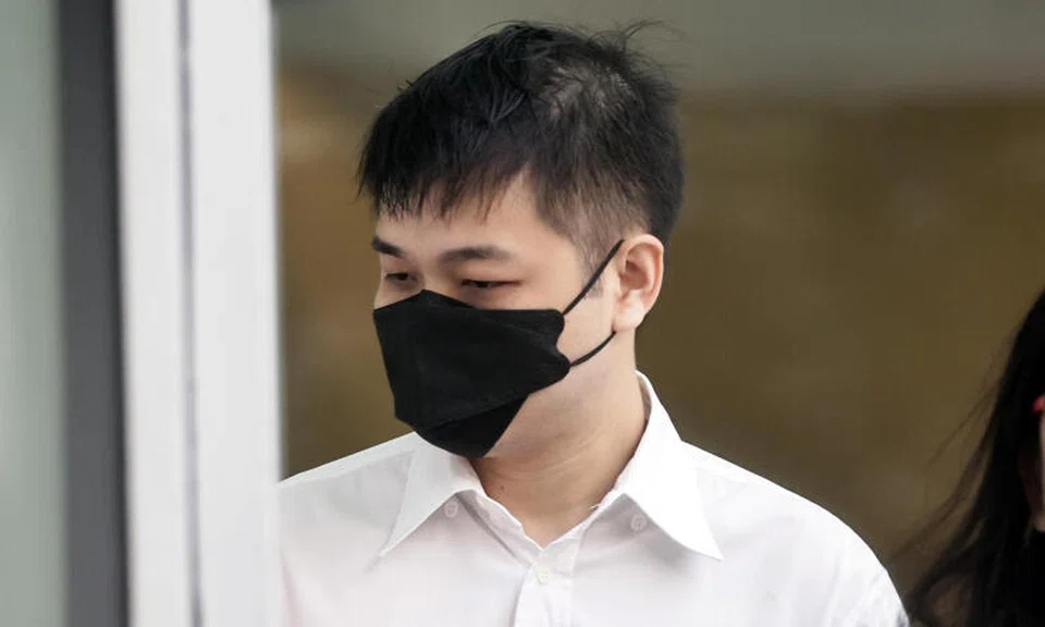 Jail for man who spray-painted walls at Red Cross House, assaulted motorist in road rage incident