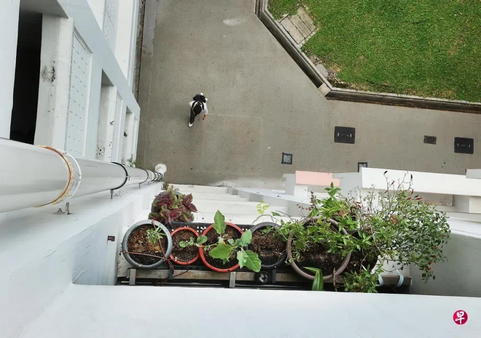 Some residents expressed concern that the potted plants could accidentally fall and injure someone.